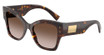 DOLCE & GABBANA DG4478 HAVANA/502/13