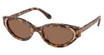 SWAROVSKI Eyeglasses SK6030 HAVANA MEDIO/104073
