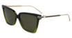 Ferragamo SF2036S GRADIENT TRANSPARENT DARK GREE/316