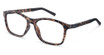 BFlex B-SLAY MT BROWN CAREY