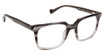 Classique Eyewear K1001 ASHEN/C1