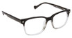 Classique Eyewear K1004 ASHEN/C1
