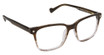 Classique Eyewear Eyeglasses K1004 CHESTNUT/C2