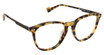 Classique Eyewear K1007 HAVANA/C3