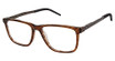 Champion ROVE BROWN HORN/C01