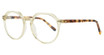 Charles Stone Eyeglasses CSNY30160 YELLOW LIGHT TRANSPARENT/2515