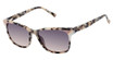 L.A.M.B. Eyeglasses LA592 ivory tortoise/IVO