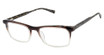 Ted Baker Eyeglasses TM017 brown/BRN
