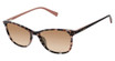Ted Baker TWS302 rose tortoise/ROS