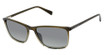Ted Baker Eyeglasses TMS205 olive/OLI