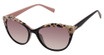 Ted Baker Eyeglasses TWS297 black/BLK