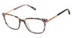 Ted Baker Eyeglasses TFW023 grey/GRY
