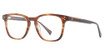 Vivid Eyeglasses VIVID 969 demi brown