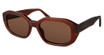 Derek Lam Eyeglasses FIDELA AMBER