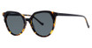 Modz Sunz Eyeglasses BOCA CHICA Tortoise/Black