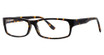 Modern Plastics II Eyeglasses COLOSSAL Tortoise