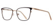 Eye Q Eyewear GTN816 BROWN/BRN