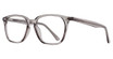 Eye Q Eyewear G532 CRYSTAL GREY/GREY