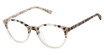 Ted Baker Eyeglasses TKG005 ivory tortoise/IVO