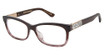 STUART WEITZMAN Eyeglasses WZN 1021 VLT BW/0E53