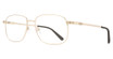 Eye Q Eyewear WKM14 GOLD/GOLD