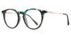Eye Q Eyewear Eyeglasses GTN815 DEMI BLUE/BLUE