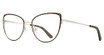 Eye Q Eyewear MP116 CYPRESS/CYPR