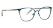 XOXO Eyeglasses Arizona TEAL/TEL