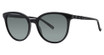 Vera Wang Eyeglasses Nydah Black/BK
