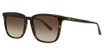Calvin Klein Eyeglasses CK25507S DARK HAVANA/235