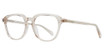 Eye Q Eyewear Eyeglasses EDMONTON CHAMPAGNE/CHAMP