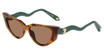 Roberto Cavalli SRC128M BROWN/GREEN HAVANA