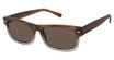 Isaac Mizrahi New York Eyeglasses IM 36211 Brown/BR