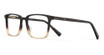 Safilo Elasta Eyeglasses E 1650 BRW CRYST/0YL3