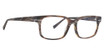 Trina Turk Eyeglasses Childs BROWN HORN/BRH Trina Turk Eyeglasses Childs BROWN HORN/BRH