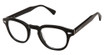 Perry Ellis Eyeglasses PE 489 BLACK/1