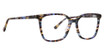 XOXO Eyeglasses Everton BLUE HORN/BLO