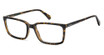 Polaroid Eyeglasses PLD D546 HVN/0086