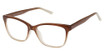 New Globe Eyeglasses L4106 Brown Gradient/BROWN GRADIENT