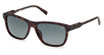 Timberland Eyeglasses TB00052-H dark havana / smoke polarized/52D