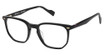 Ben Sherman Eyeglasses GOLDEN BLACK/C01