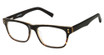 Vision's Eyeglasses AFV243 BLACK TORT. FADE/C01