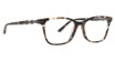 Jenny Lynn Eyewear Eyeglasses Intrepid BLACK/TORTOISE/BKT