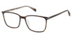 Cruz Eyeglasses Midway Rd Tortoise/TORTOISE