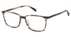 Cruz Eyeglasses Midway Rd Amber/AMBER