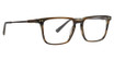 Argyleculture Eyeglasses Young HORN/HRN