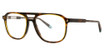 Original Penguin Eyeglasses The Funk Tortoise/TO