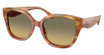 COACH Eyeglasses HC8438U CBY94 STRIATED BARK / MOSS/5898L0