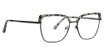 XOXO Eyeglasses Dover Black