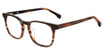 GAP Eyeglasses VGP064 BROWN
